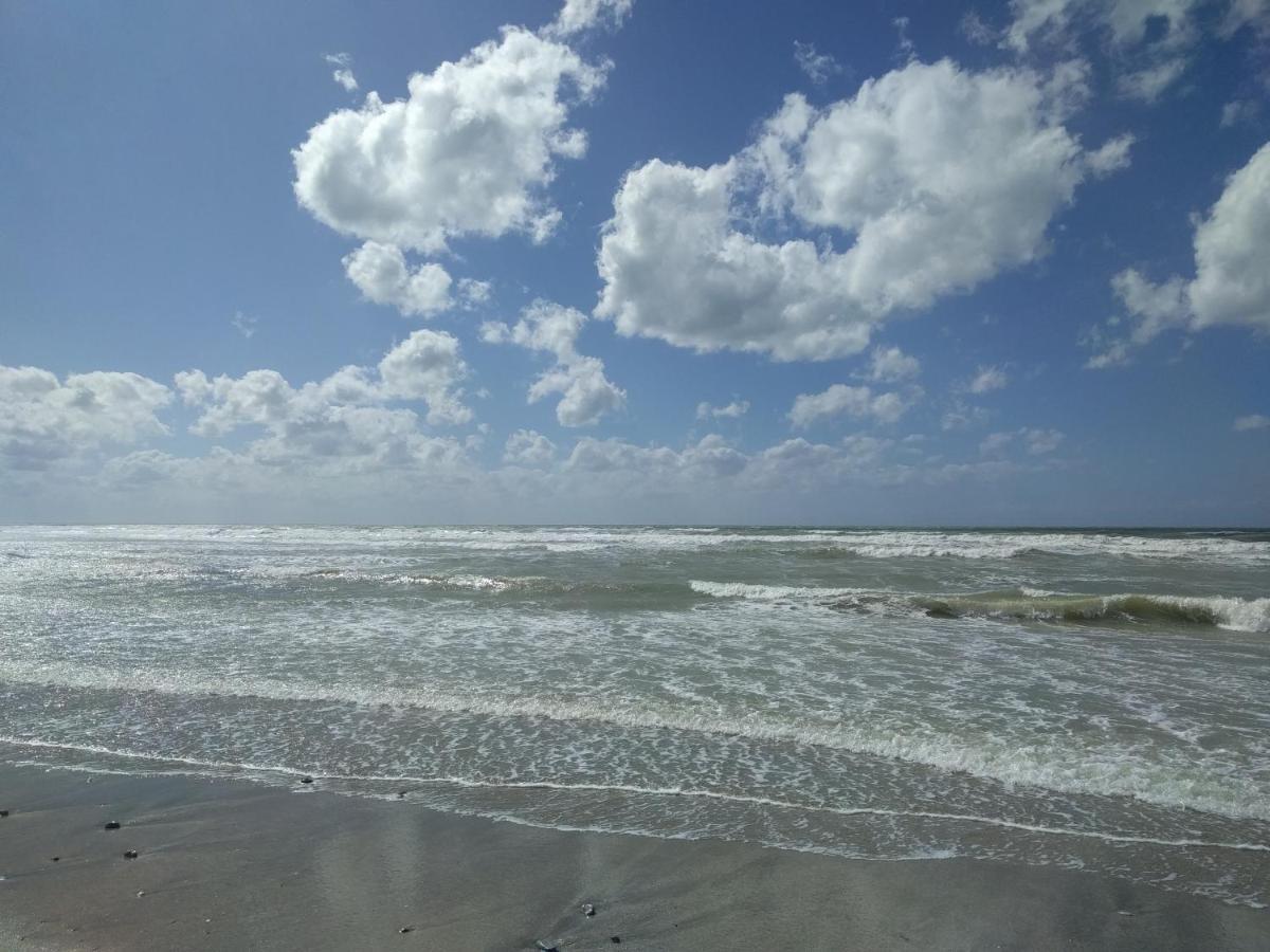 "Le Cocon D'Estelle" Grand Studio Vue Mer, 30M De La Plage Villers-sur-Mer Eksteriør billede
